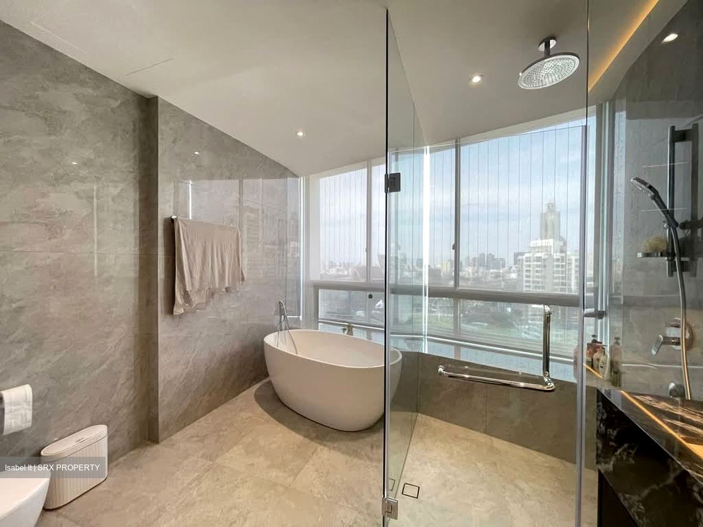 Grange Infinite (D9), Condominium #598269451